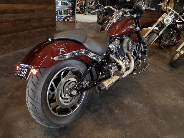 Picture of SPORT GLIDE 2018-2019 FENDER ELIMINATOR TAIL TIDY